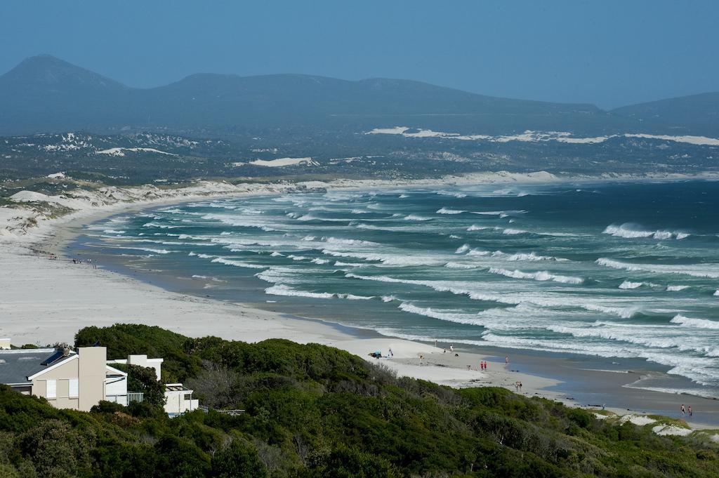 Lavender Manor Guest Lodge Hermanus Dış mekan fotoğraf